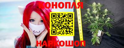 сатива Бугуруслан